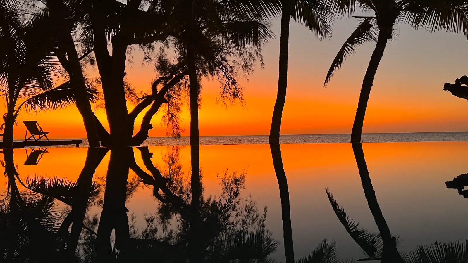 Palm trees silhouetted against a fiery sky reflected in still water