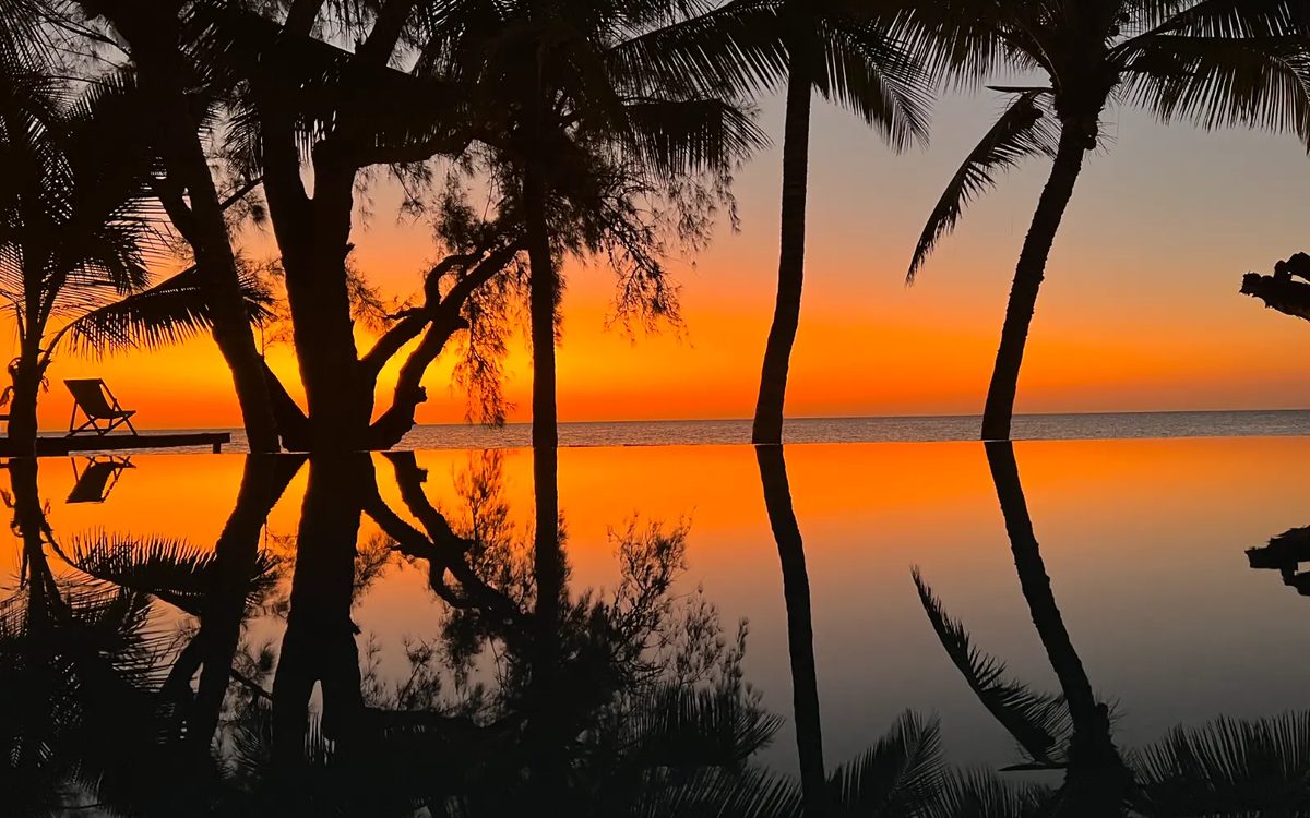 Palm trees silhouetted against a fiery sky reflected in still water