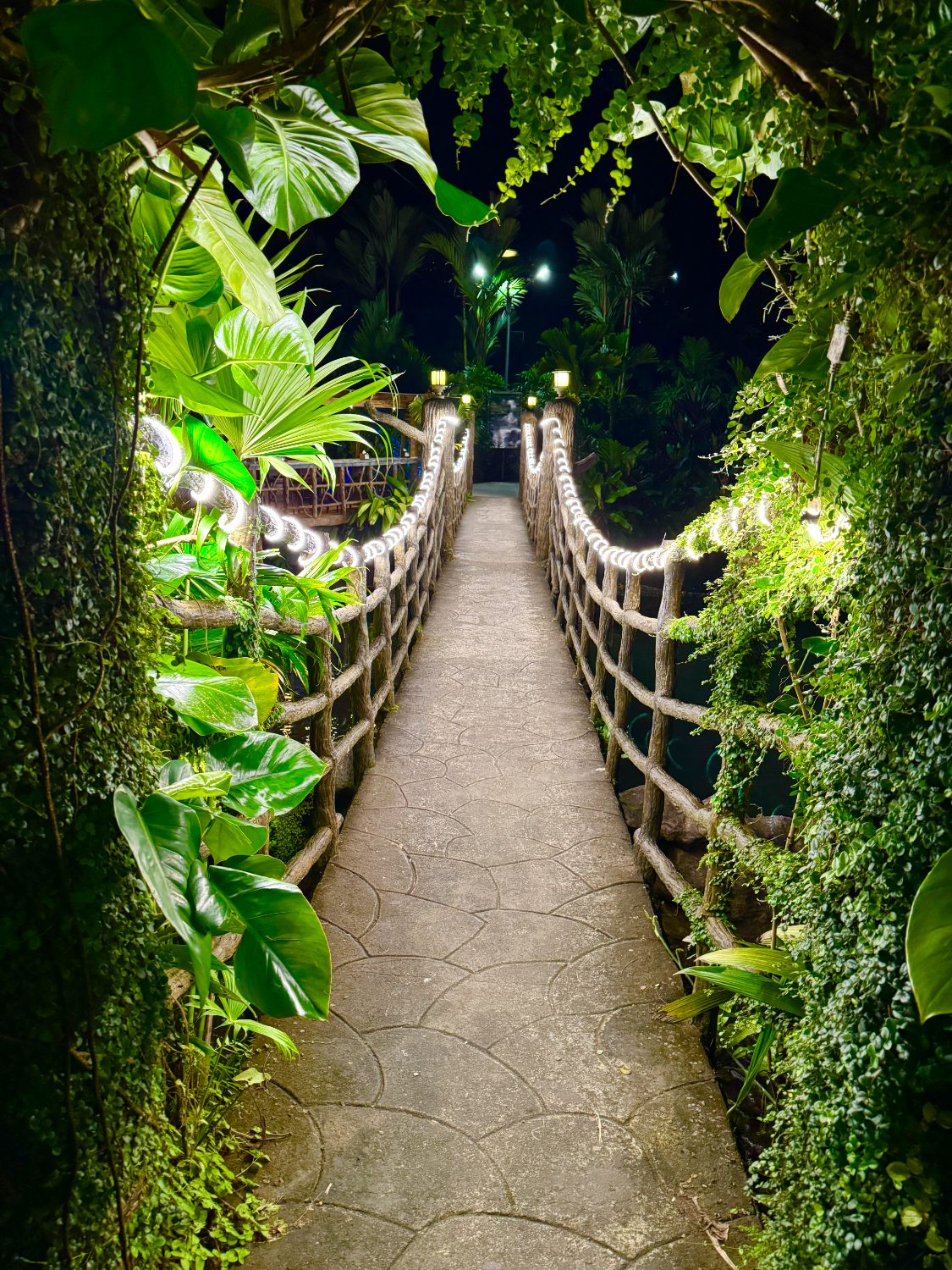 Hot springs walkway at night