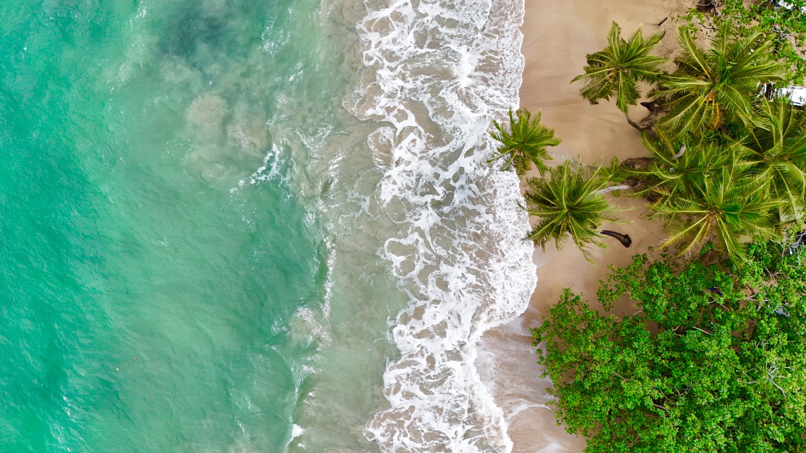 Aerial over the Caribbean coast