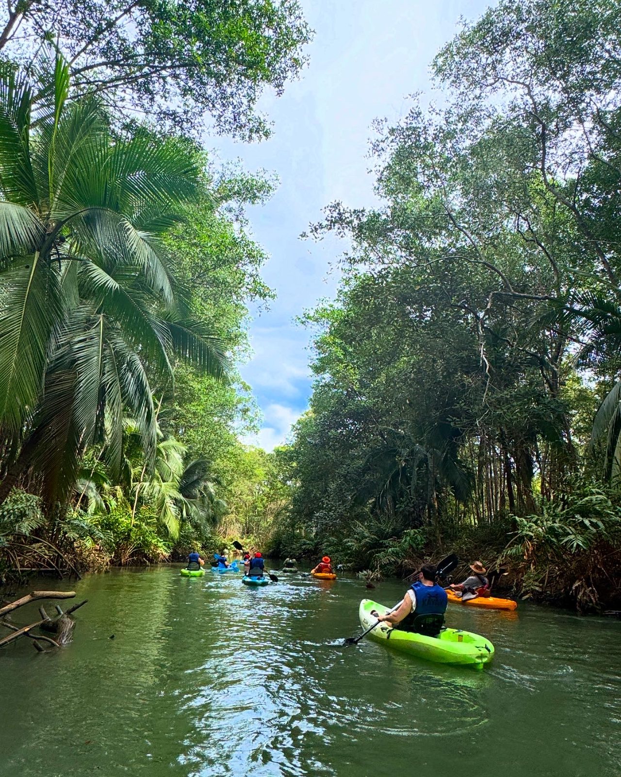 Kayaking the mangroves