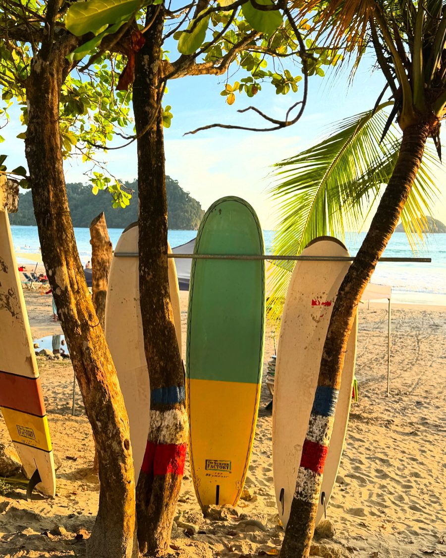 Surfboards on the beach