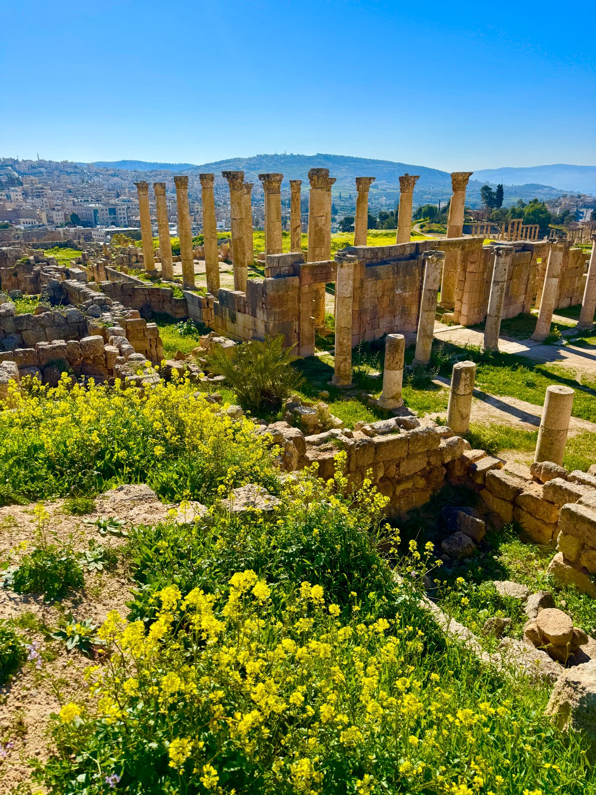 Jerash ruins & Dead Sea