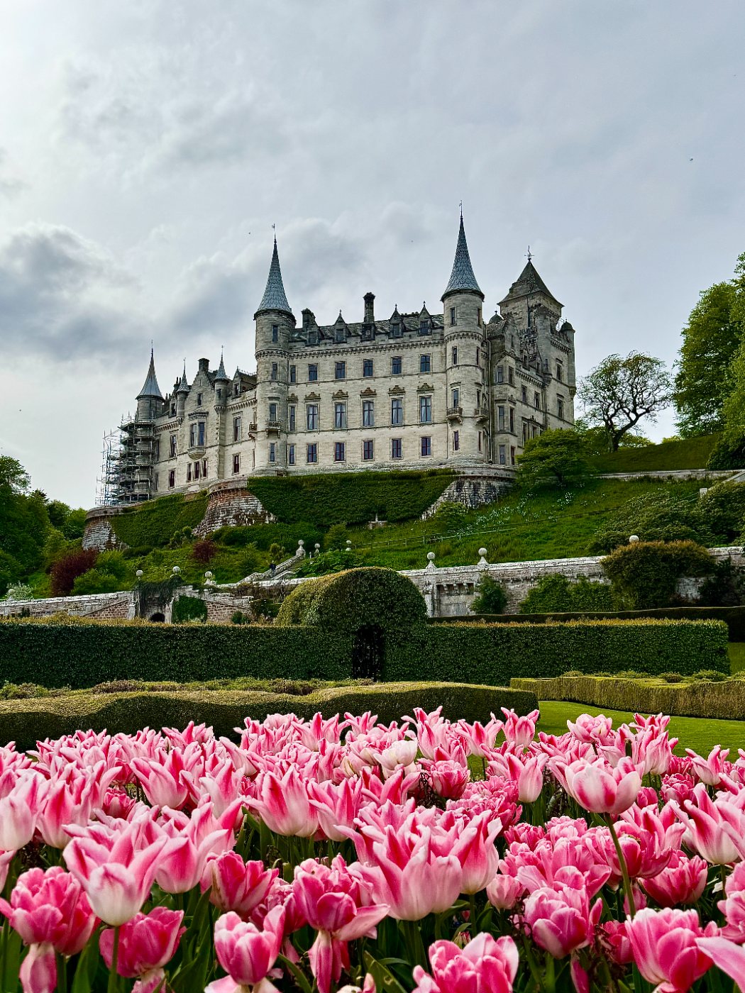 Dunrobin Castle above the tulip beds